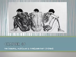 PPT-THE SKELETAL, MUSCULAR & INTEGUMENTARY SYSTEMS