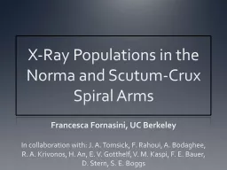 X-Ray Populations in the Norma and