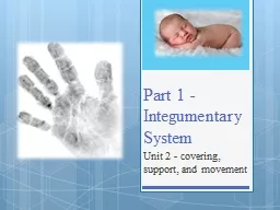 Part 1 -Integumentary System