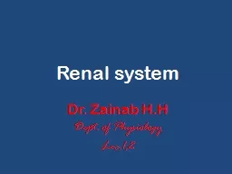Renal system Dr.  Zainab