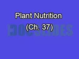 Plant Nutrition (Ch. 37)