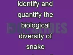 In this project we set out to identify and quantify the biological diversity of snake
