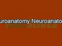 Neuroanatomy Neuroanatomy