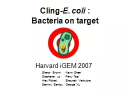 Cling- E. coli  : Bacteria on target