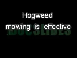 PPT-Hogweed mowing is effective