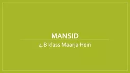 mansid 4.B klass Maarja Hein