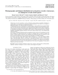 Phylogeography and disjunct distribution in Lychnophor