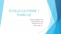 EVOLUCIJA FORME I FUNKCIJE