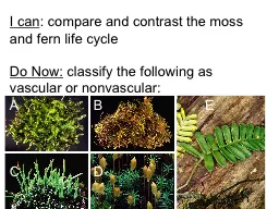 I can : compare and contrast the moss and fern life cycle