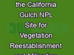 PPT-Soil Treatment at the California Gulch NPL Site for Vegetation Reestablishment and Mitigation