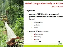 Global  Comparative Study