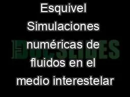 Alejandro Esquivel Simulaciones numéricas de fluidos en el medio interestelar