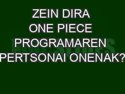 ZEIN DIRA ONE PIECE PROGRAMAREN PERTSONAI ONENAK?