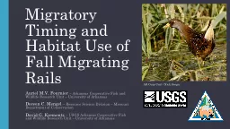 Habitat Use of Autumn Migrating Sora in the Mississippi Flyway