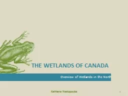 PPT-THE WETLANDS OF CANADA