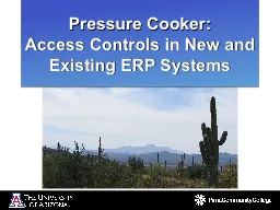 Pressure Cooker:  Access Controls in New and Existing ERP Systems