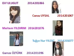 PPT-Elif ULUGUT 2014201066