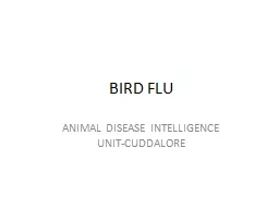 BIRD FLU ANIMAL DISEASE INTELLIGENCE UNIT-CUDDALORE