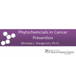 Phytochemcials  in Cancer Prevention