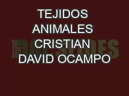 TEJIDOS ANIMALES CRISTIAN DAVID OCAMPO