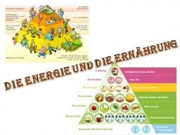 DIE ENERGIE UND DIE ERNÄHRUNG