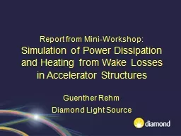 PPT-Report from Mini-Workshop: