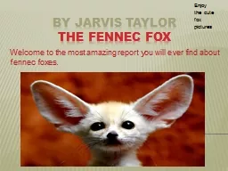 By  jarvis   taylor the fennec fox