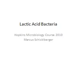 Lactic Acid Bacteria Hopkins Microbiology Course 2010