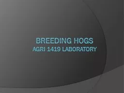 Breeding Hogs AGRI 1419 Laboratory