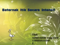 PPT-Beternak Itik Secara Intensif