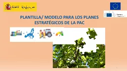 PLANTILLA/ MODELO PARA LOS PLANES ESTRATÉGICOS DE LA PAC