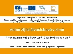 PPT-Volně žijící živočichové v zimě