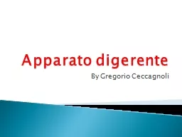 Apparato digerente By Gregorio Ceccagnoli