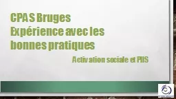 CPAS Bruges  Expérience