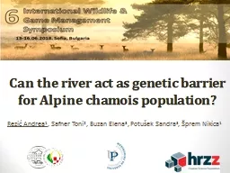 Can the river act as genetic barrier for Alpine chamois population?
