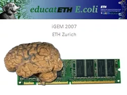 iGEM 2007 ETH Zurich 04.06.2007