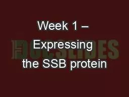 Week 1 – Expressing the SSB protein