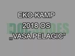 PPT-EKO-KAMP 2018 OS ,,VASA PELAGIC”