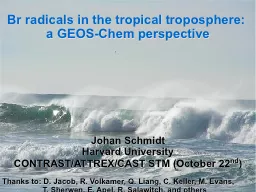 1 Br radicals in the tropical troposphere: