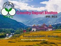 Country Report Bhutan IPM_RICE