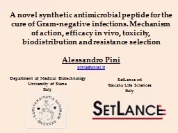 A novel synthetic antimicrobial peptide for the cure of Gram-negative infections. Mechanism of acti