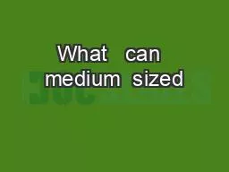 What   can  medium  sized
