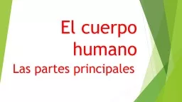 El  cuerpo   humano Las