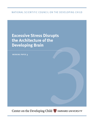 Excessive Stress Disrupts the Architecture of the Deve