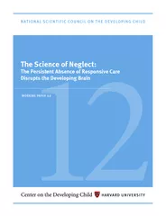 The Science of Neglect The Persistent Absence of Respo