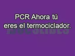 PCR Ahora tú eres el termociclador.