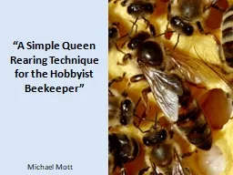 PPT-“A Simple Queen Rearing Technique for the Hobbyist Beekeeper”