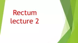 Rectum  lecture 2