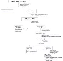 GROUP IV. and V. CATIONS