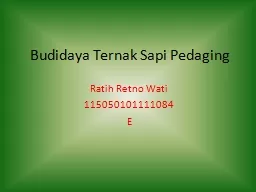 Budidaya Ternak Sapi Pedaging